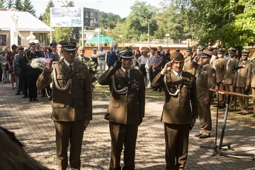 Następne zdjęcie