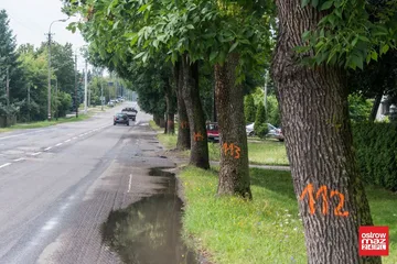 Następne zdjęcie