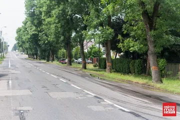 Następne zdjęcie