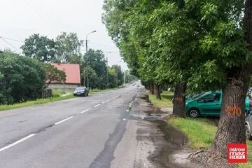Poprzednie zdjęcie