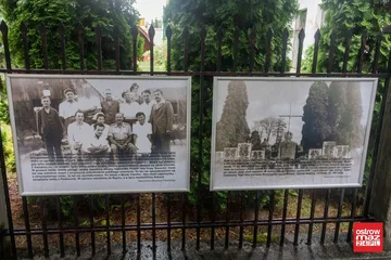 Następne zdjęcie