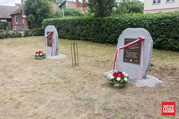Następne zdjęcie