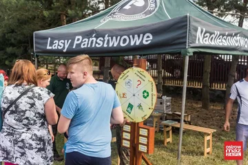 Poprzednie zdjęcie