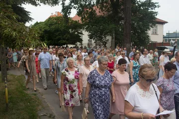 Poprzednie zdjęcie