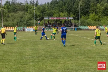 Następne zdjęcie