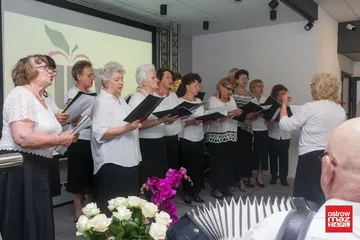 Następne zdjęcie