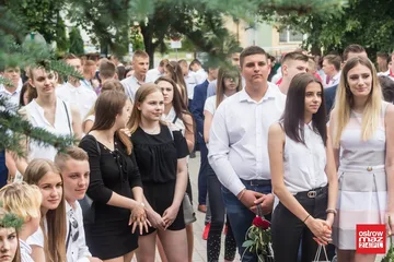 Następne zdjęcie