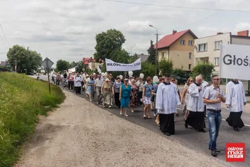 Następne zdjęcie