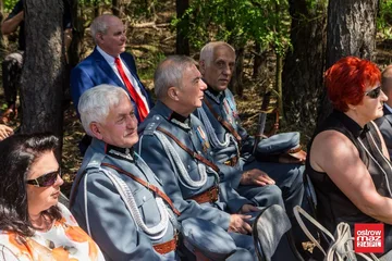 Poprzednie zdjęcie