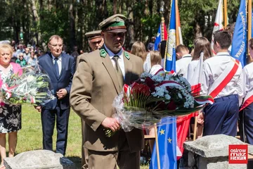 Poprzednie zdjęcie