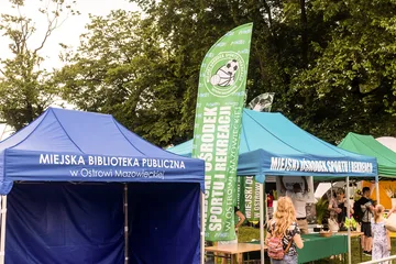 Poprzednie zdjęcie
