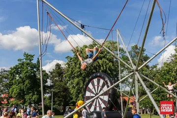 Następne zdjęcie