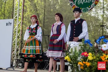 Poprzednie zdjęcie