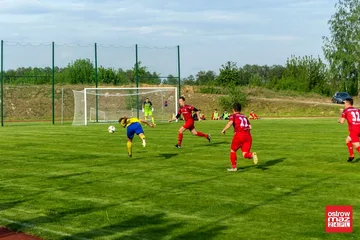 Następne zdjęcie