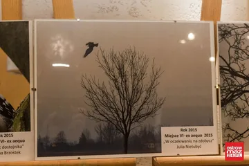 Poprzednie zdjęcie