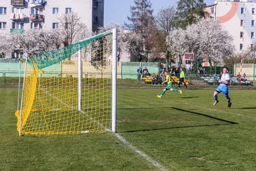 Poprzednie zdjęcie