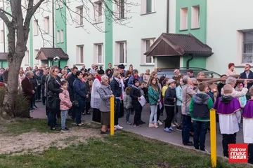Poprzednie zdjęcie