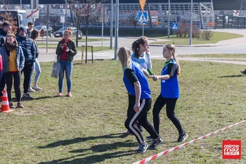 Następne zdjęcie