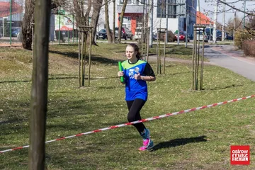 Następne zdjęcie