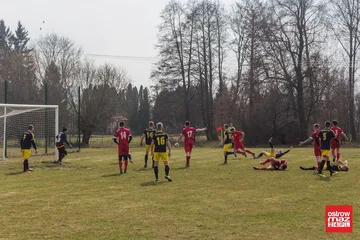 Następne zdjęcie