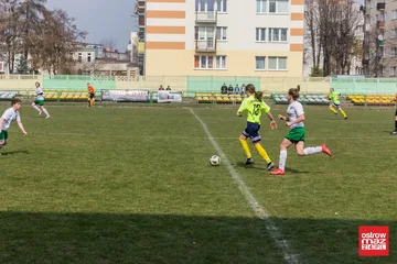 Następne zdjęcie