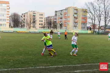 Następne zdjęcie