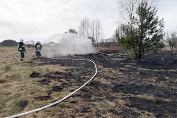 Poprzednie zdjęcie