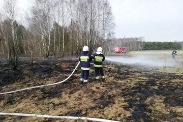 Pożar traw w Rząśniku Szlacheckim (zdjęcia)