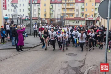 Blisko 100 osób pobiegło wilczym tropem (zdjęcia, wideo)