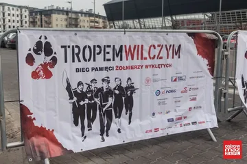 Następne zdjęcie