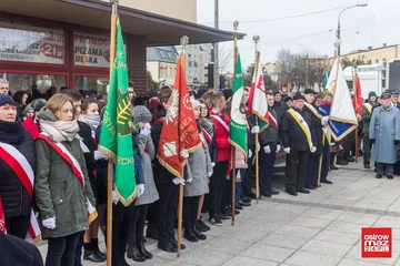 Następne zdjęcie