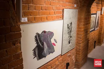 Następne zdjęcie