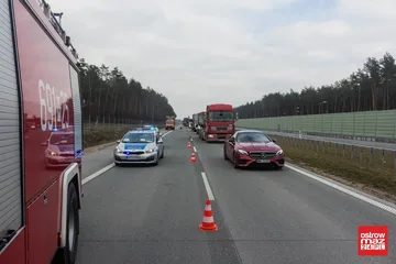 Następne zdjęcie