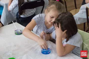 Następne zdjęcie