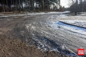 Poprzednie zdjęcie