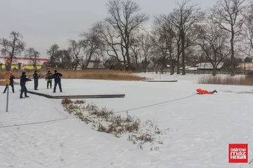 Poprzednie zdjęcie