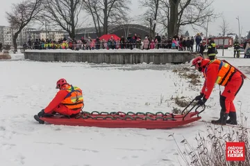 Następne zdjęcie