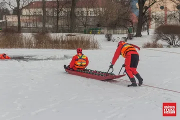 Następne zdjęcie