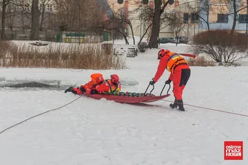 Poprzednie zdjęcie