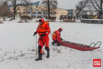 Następne zdjęcie