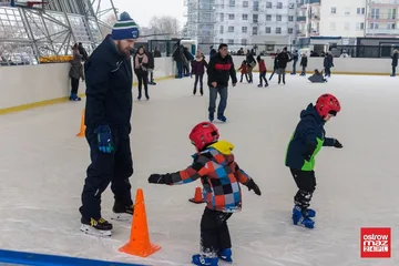 Następne zdjęcie