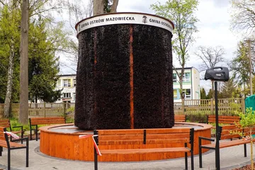 Następne zdjęcie