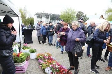 Następne zdjęcie