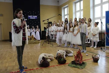 Poprzednie zdjęcie