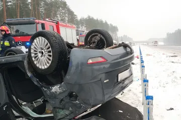 Następne zdjęcie