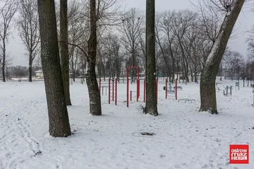 Następne zdjęcie