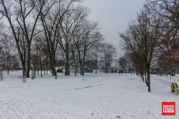 Poprzednie zdjęcie