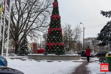 Następne zdjęcie