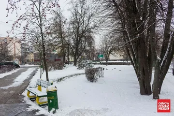 Następne zdjęcie
