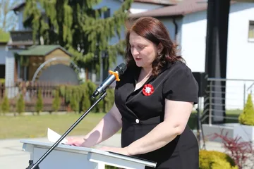 Poprzednie zdjęcie